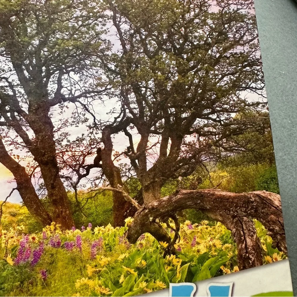 MEGA PUZZLES 500 piece landscape puzzle
